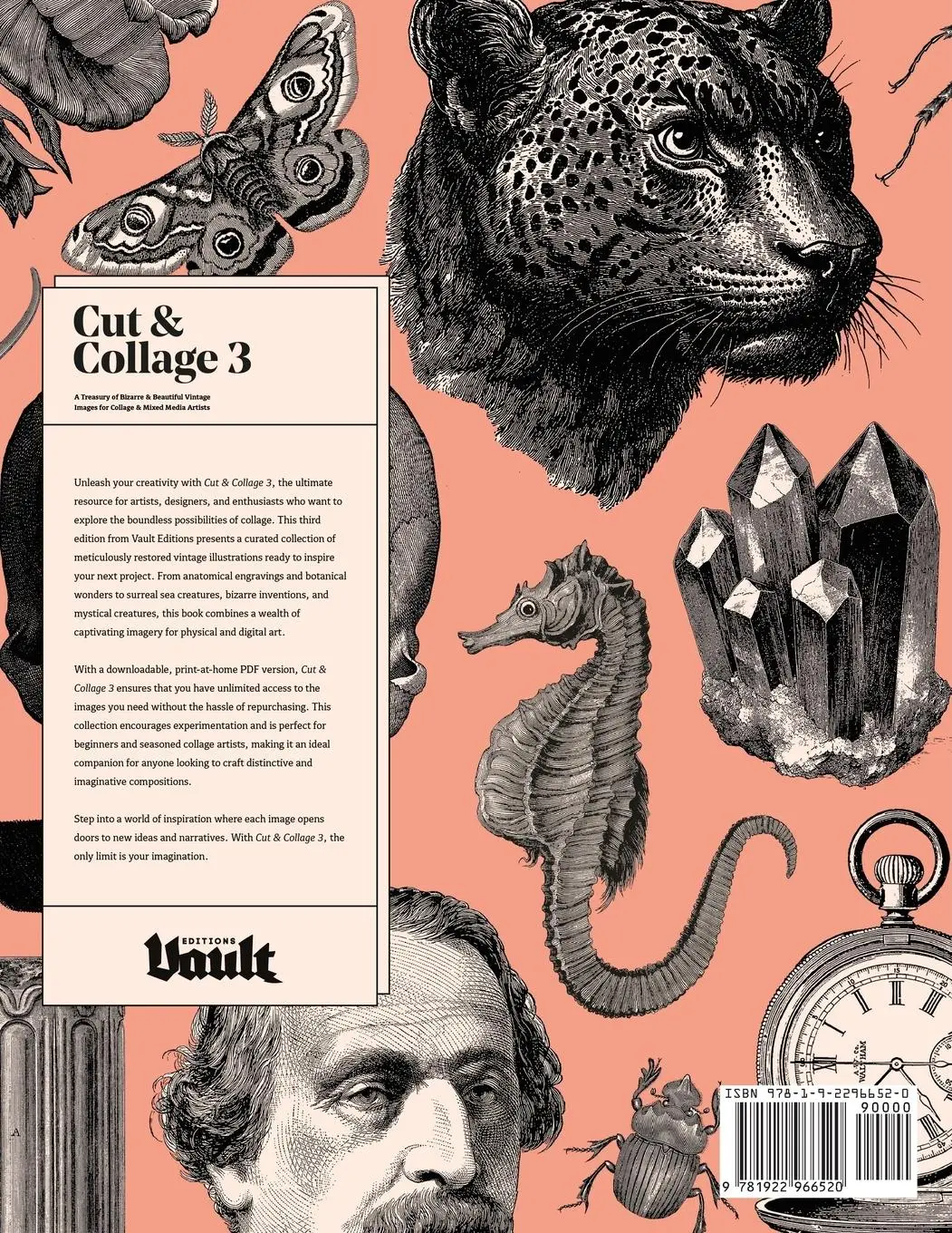 Rückseite: 9781922966520 | Cut &amp; Collage 3 | Kale James | Taschenbuch | Paperback | Englisch
