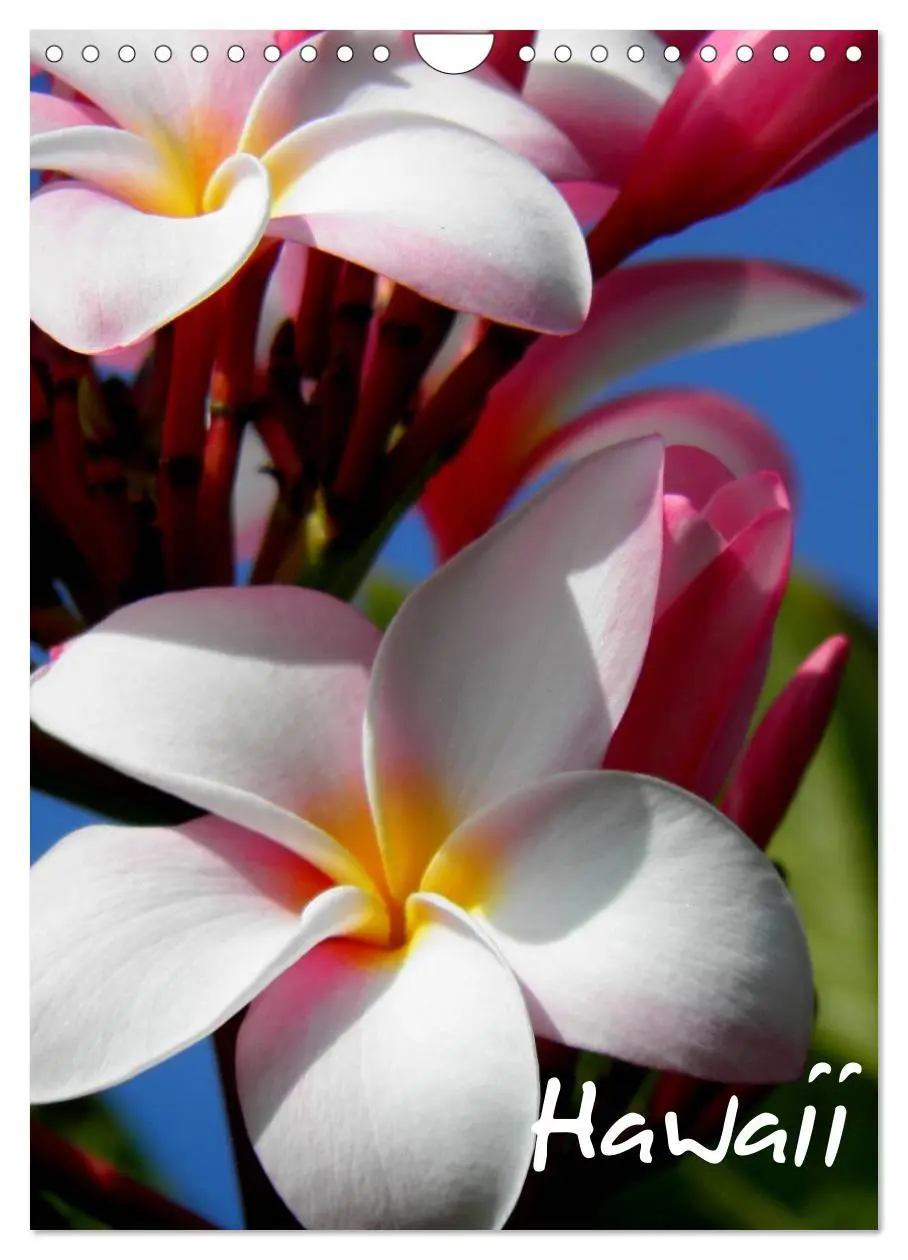 Cover: 9783516486520 | Hawaii (Wandkalender 2026 DIN A4 hoch), CALVENDO Monatskalender | 2026