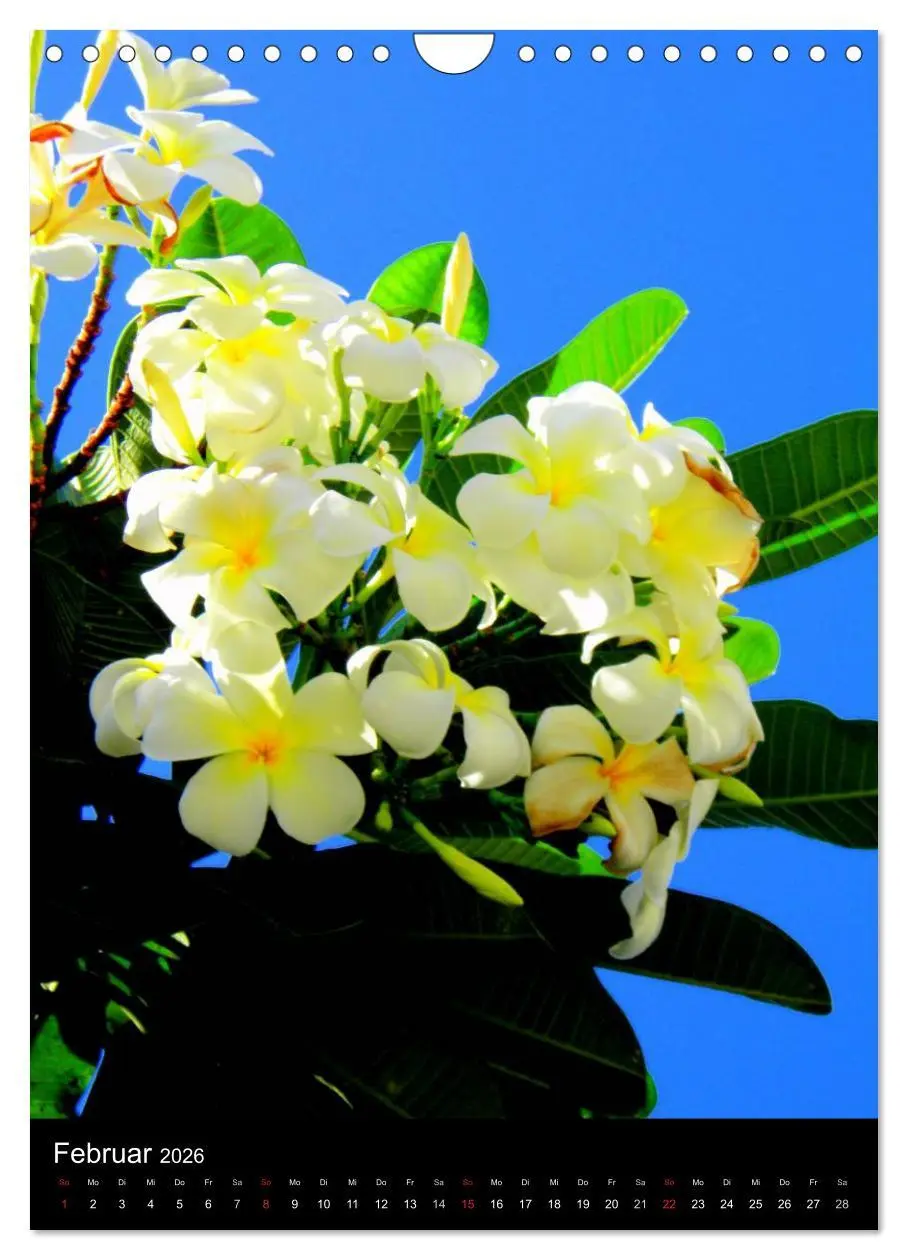 Bild: 9783516486520 | Hawaii (Wandkalender 2026 DIN A4 hoch), CALVENDO Monatskalender | 2026