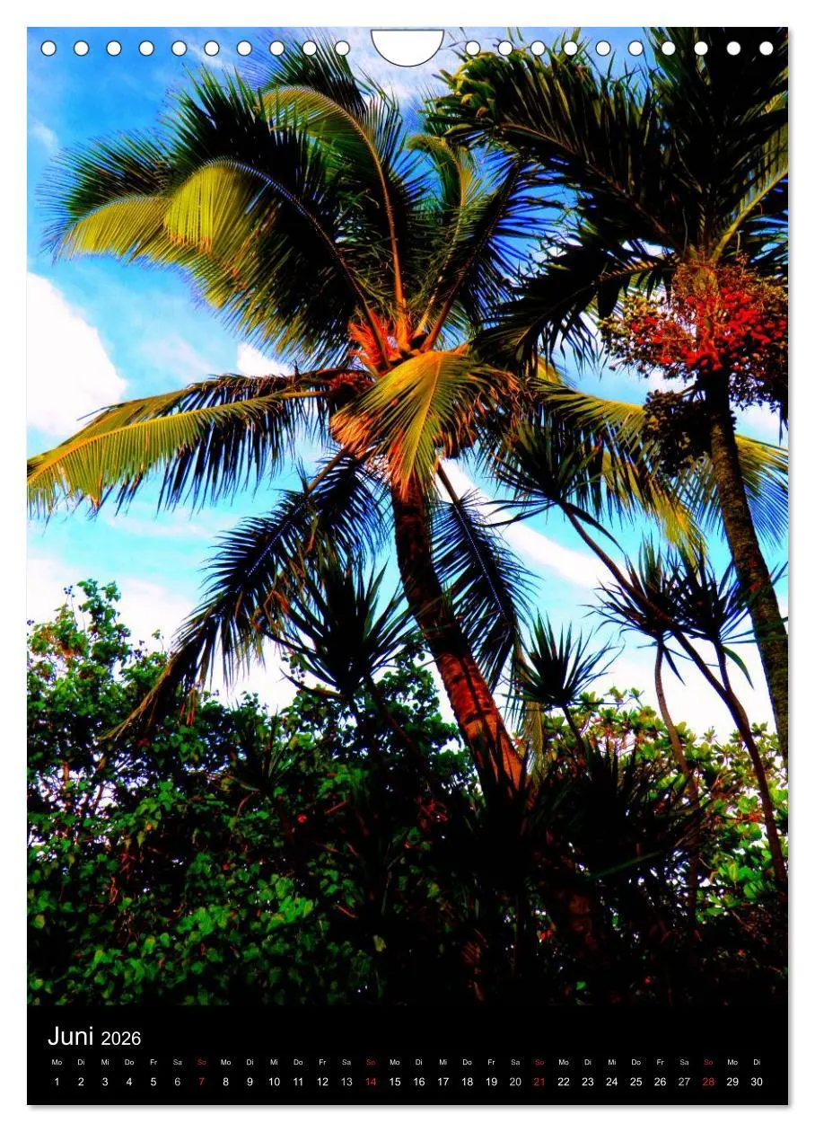 Bild: 9783516486520 | Hawaii (Wandkalender 2026 DIN A4 hoch), CALVENDO Monatskalender | 2026
