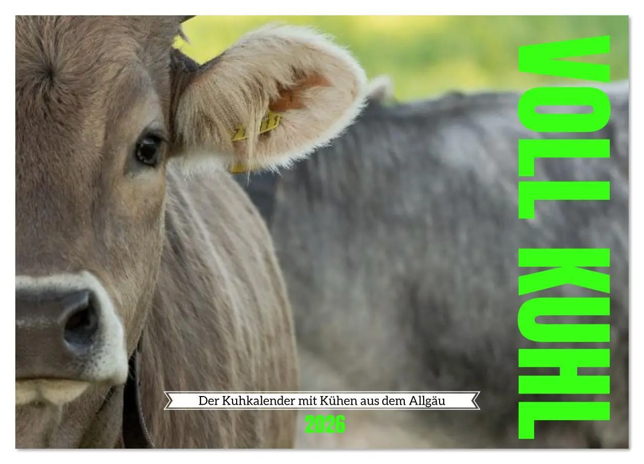 Cover: 9783516626520 | Voll kuhl - der Kuhkalender mit Kühen aus dem Allgäu (Wandkalender...