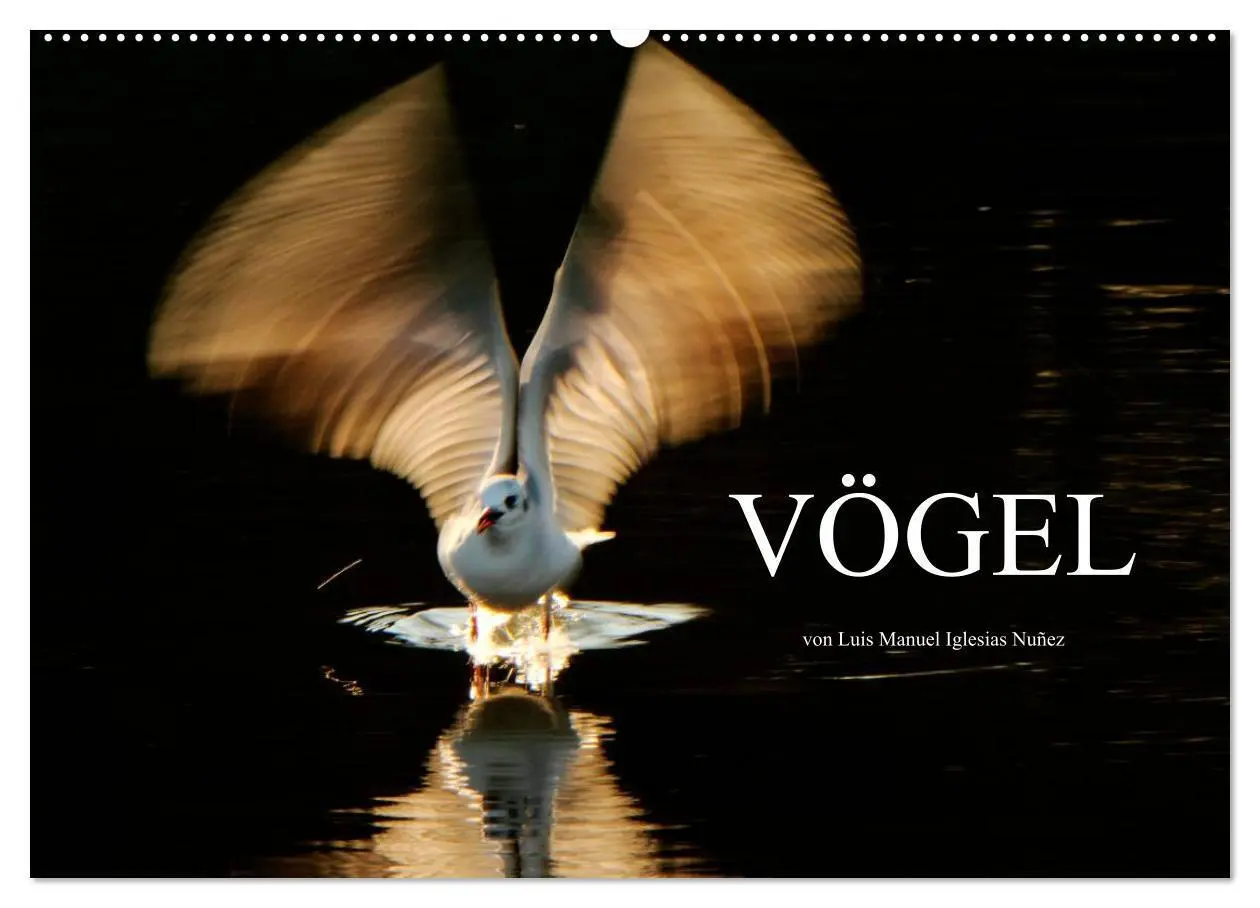 Cover: 9783435806720 | VÖGEL (Wandkalender 2025 DIN A2 quer), CALVENDO Monatskalender | 2025