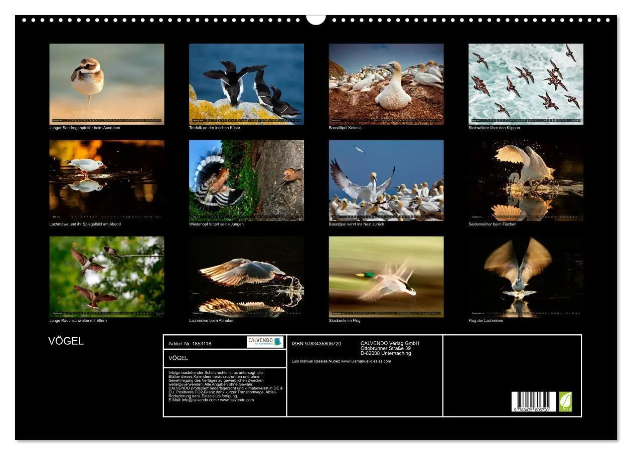Bild: 9783435806720 | VÖGEL (Wandkalender 2025 DIN A2 quer), CALVENDO Monatskalender | 2025
