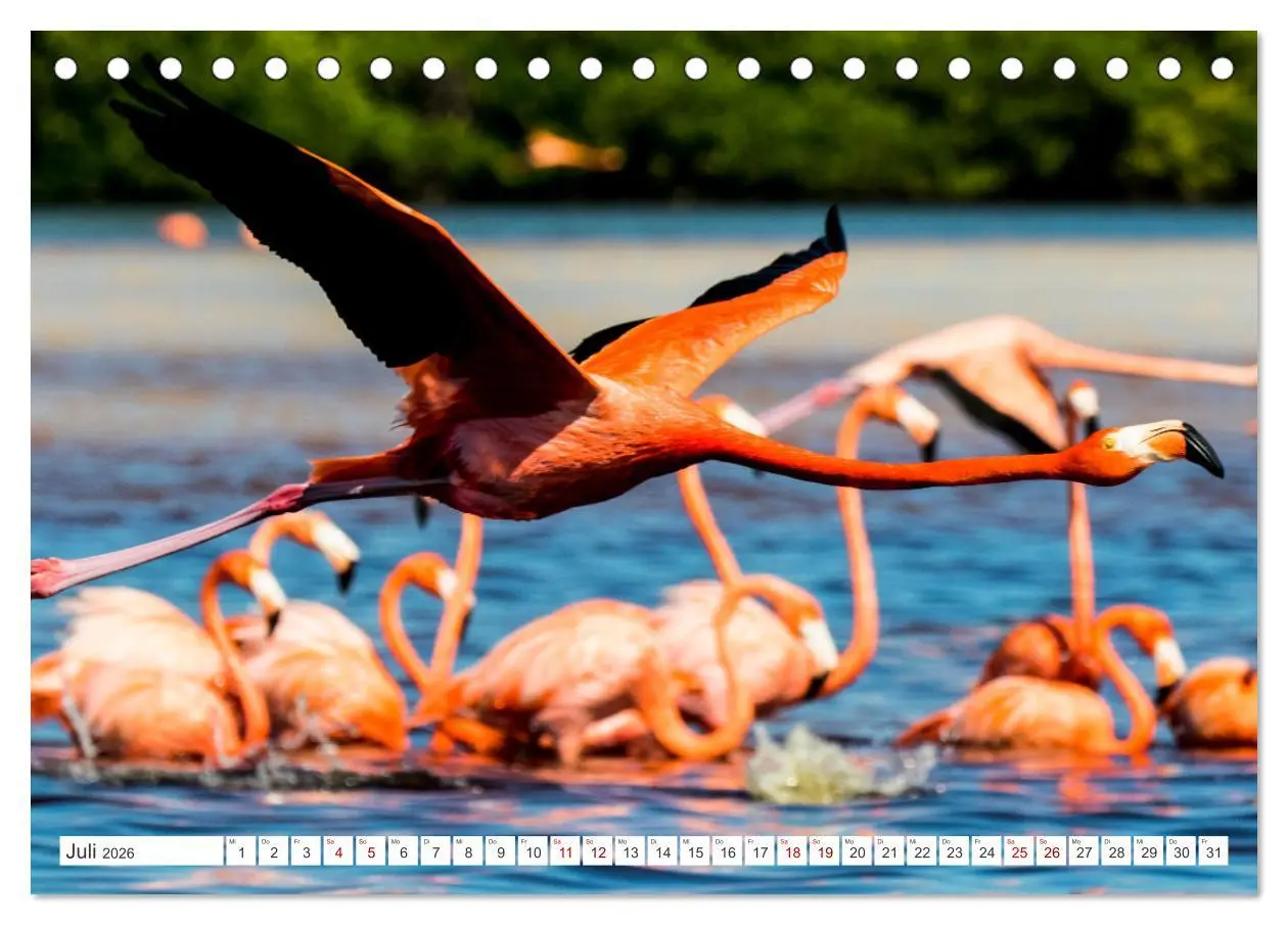 Bild: 9783457516720 | Unterwegs auf Yucatan Mexiko (Tischkalender 2026 DIN A5 quer),...