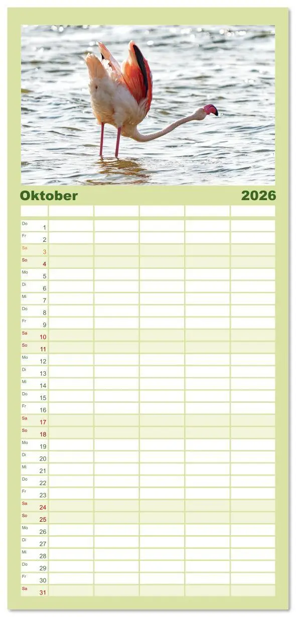 Bild: 9783516606720 | Familienplaner 2026 - Tier Portraits Tansania mit 5 Spalten...