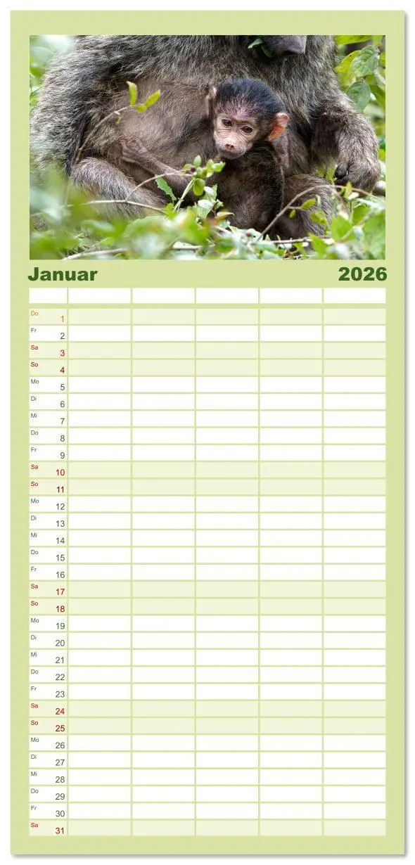 Bild: 9783516606720 | Familienplaner 2026 - Tier Portraits Tansania mit 5 Spalten...