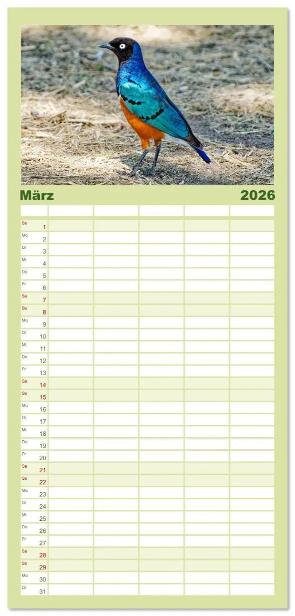 Bild: 9783516606720 | Familienplaner 2026 - Tier Portraits Tansania mit 5 Spalten...