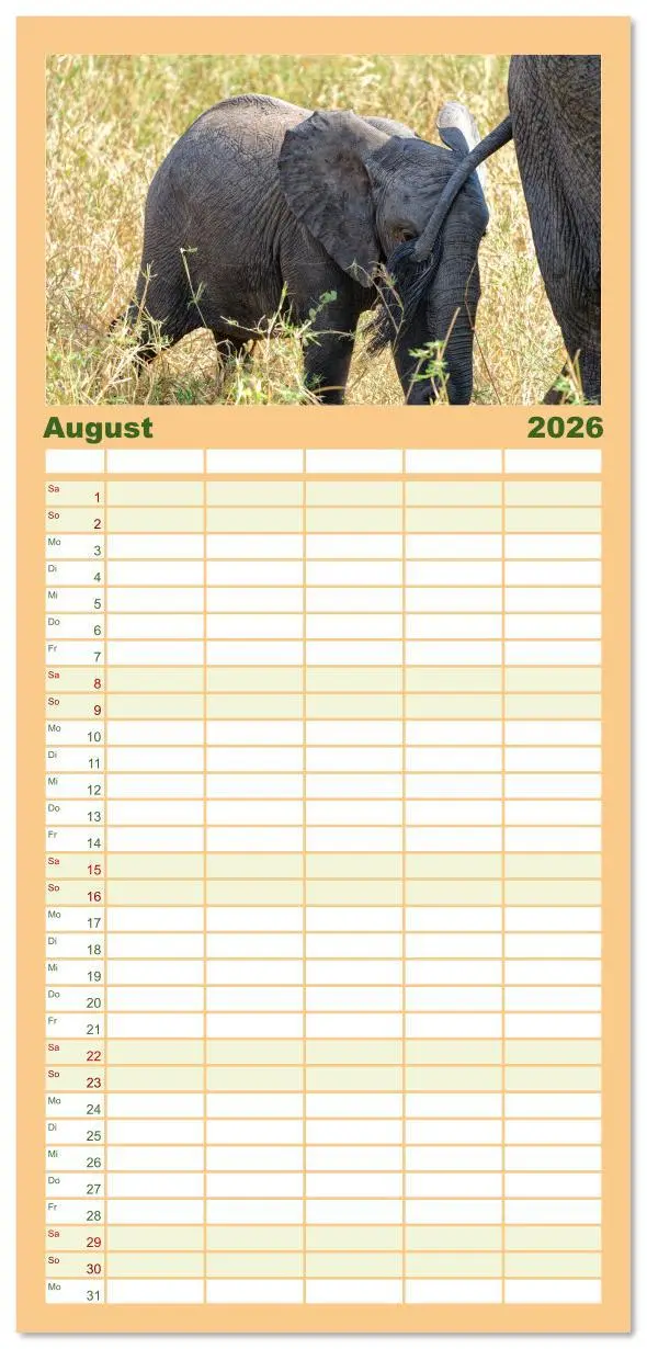 Bild: 9783516606720 | Familienplaner 2026 - Tier Portraits Tansania mit 5 Spalten...