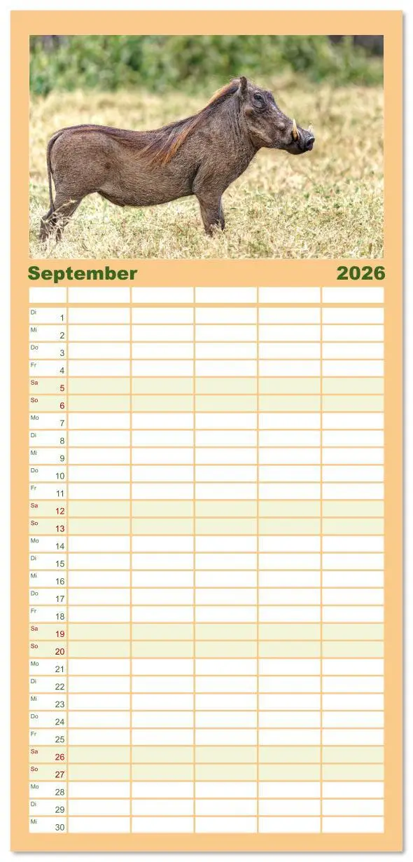 Bild: 9783516606720 | Familienplaner 2026 - Tier Portraits Tansania mit 5 Spalten...