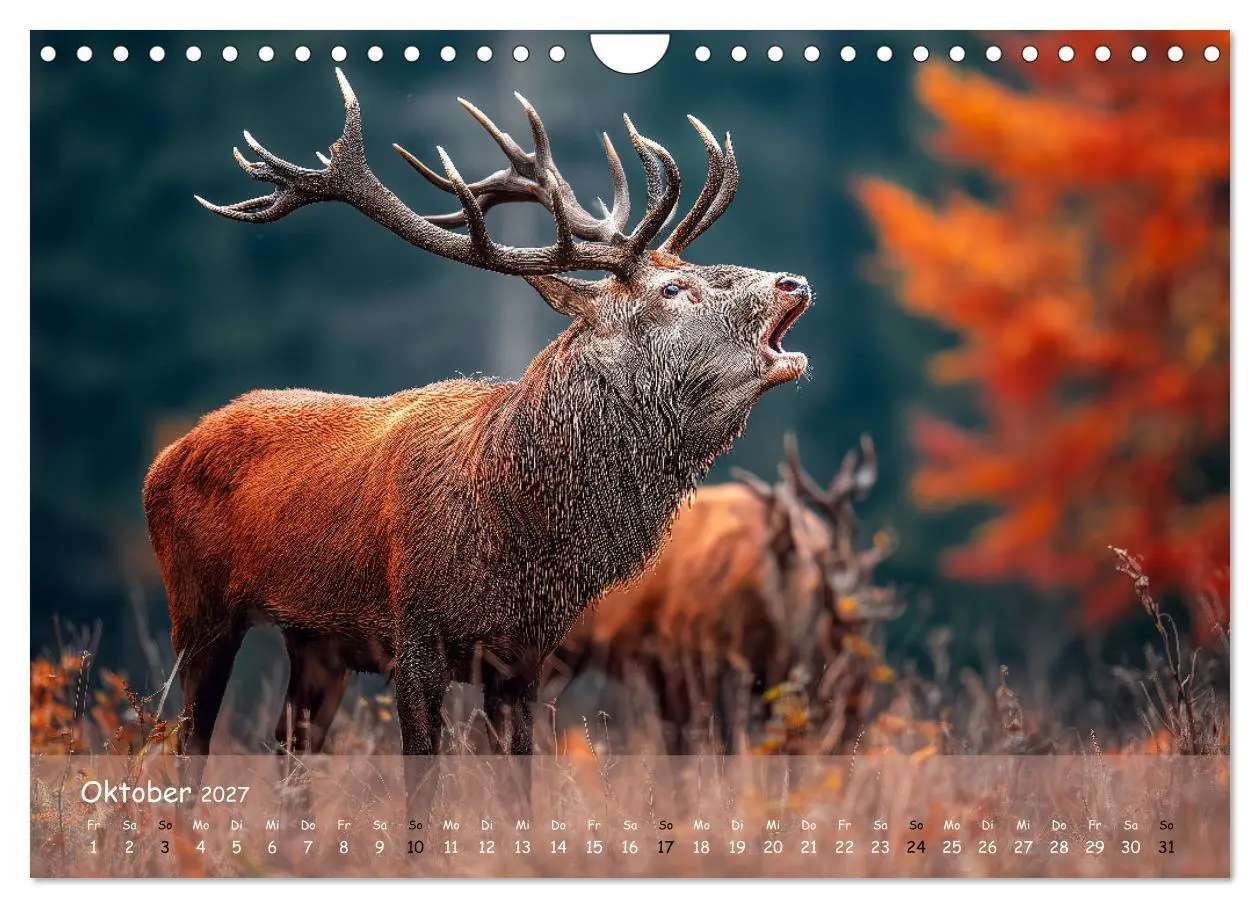 Bild: 9783516846720 | Jagd und Natur - Kalender für Jäger mit Wildtieren Deutschlands im...