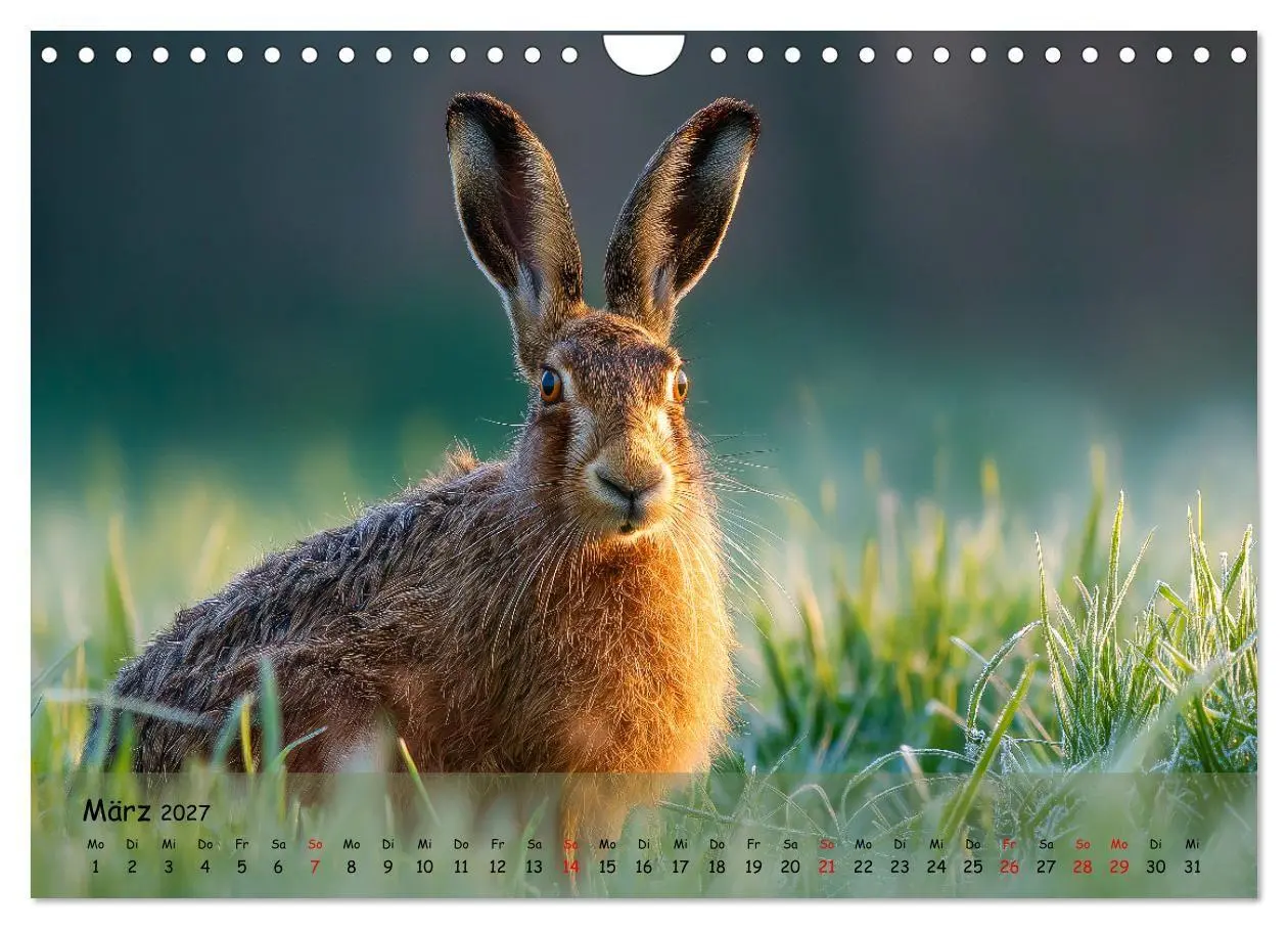 Bild: 9783516846720 | Jagd und Natur - Kalender für Jäger mit Wildtieren Deutschlands im...