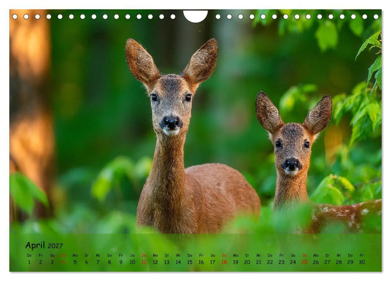 Bild: 9783516846720 | Jagd und Natur - Kalender für Jäger mit Wildtieren Deutschlands im...