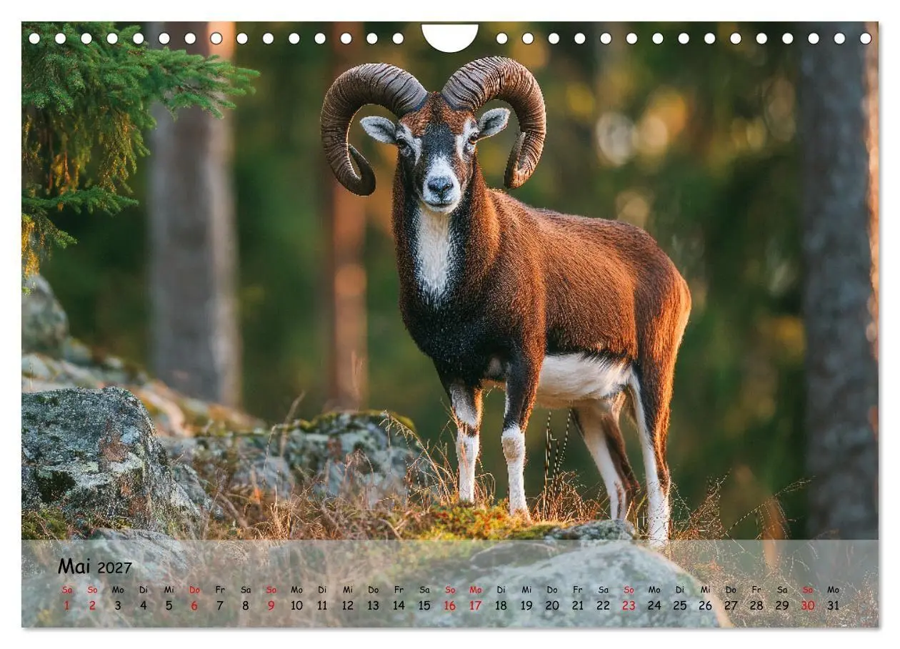 Bild: 9783516846720 | Jagd und Natur - Kalender für Jäger mit Wildtieren Deutschlands im...