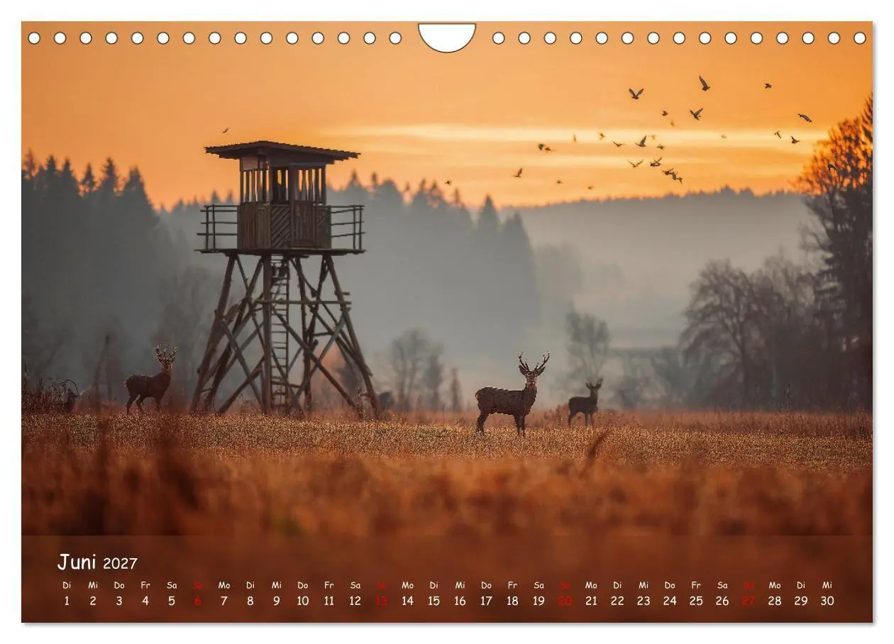 Bild: 9783516846720 | Jagd und Natur - Kalender für Jäger mit Wildtieren Deutschlands im...
