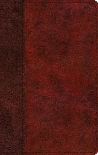 Cover: 9781433566820 | ESV Large Print Thinline Bible (Trutone, Burgundy/Red, Timeless...