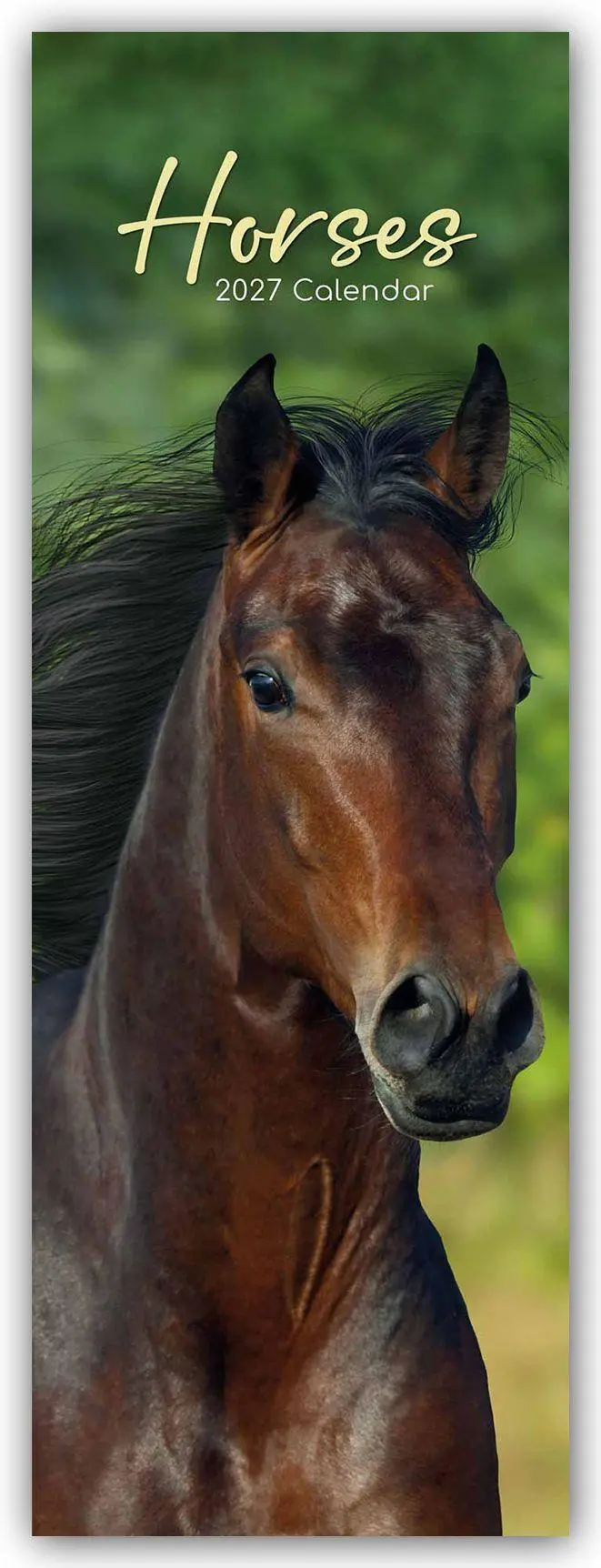 Cover: 9781805976820 | Horses - Pferde - Slimline-Kalender 2027 | Gifted Stationery Co. Ltd