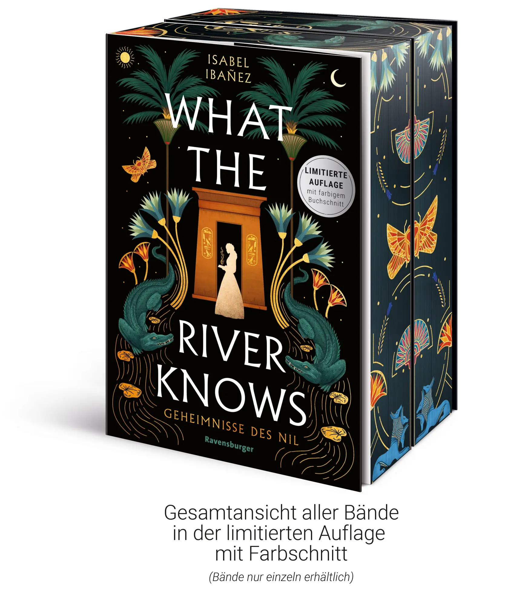 Bild: 9783473586820 | Geheimnisse des Nil, Band 1 - What the River Knows | Isabel Ibañez
