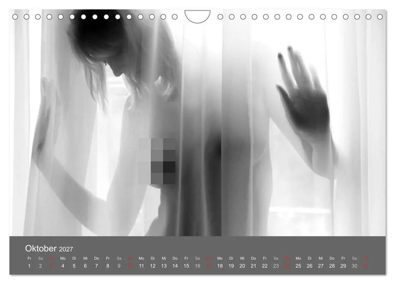 Bild: 9783569926820 | Akt und Visionen (Wandkalender 2027 DIN A4 quer), CALVENDO...
