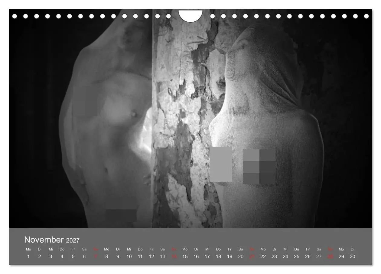 Bild: 9783569926820 | Akt und Visionen (Wandkalender 2027 DIN A4 quer), CALVENDO...