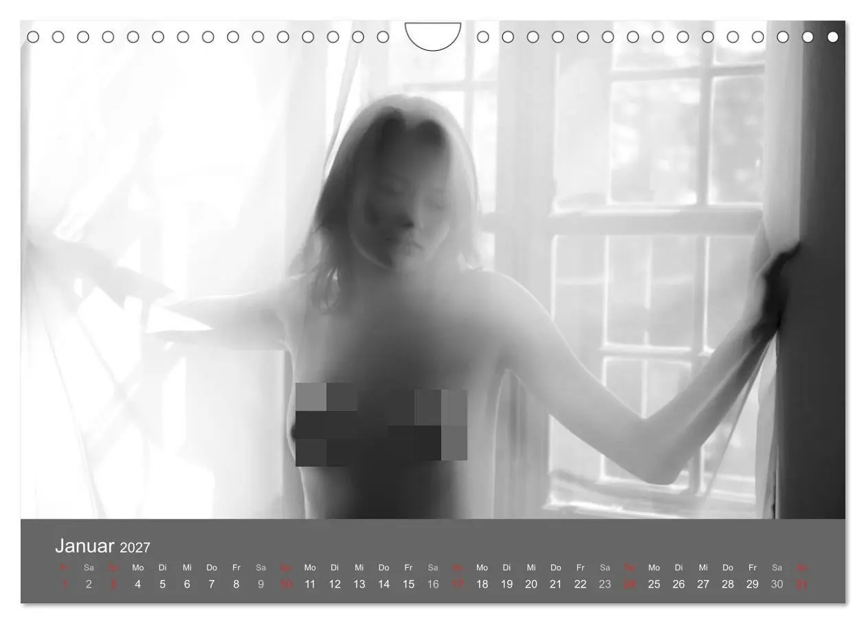 Bild: 9783569926820 | Akt und Visionen (Wandkalender 2027 DIN A4 quer), CALVENDO...