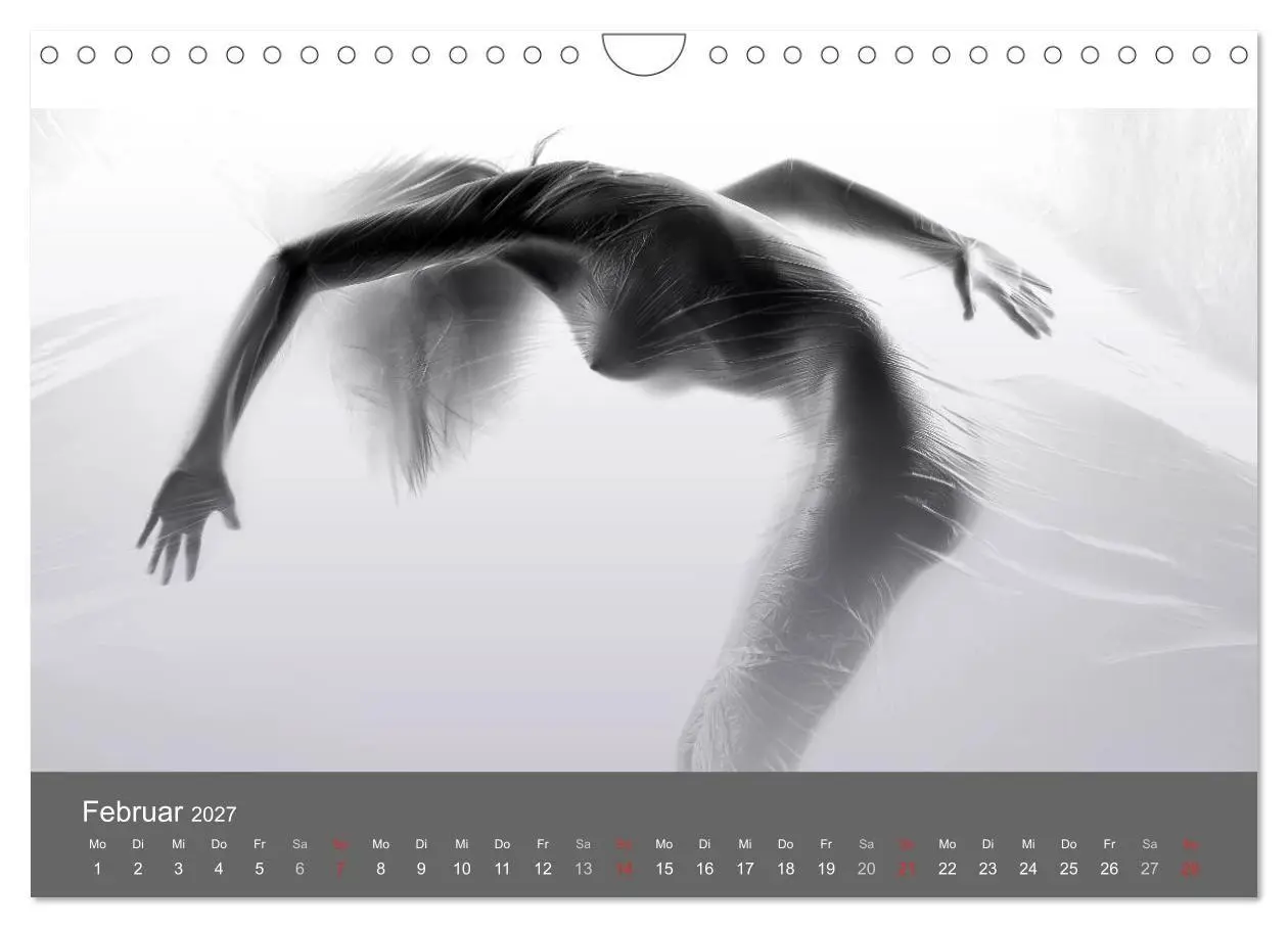Bild: 9783569926820 | Akt und Visionen (Wandkalender 2027 DIN A4 quer), CALVENDO...