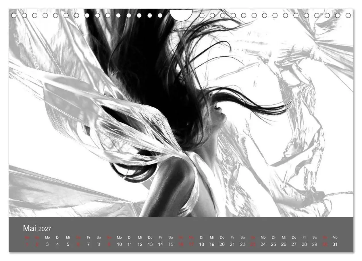 Bild: 9783569926820 | Akt und Visionen (Wandkalender 2027 DIN A4 quer), CALVENDO...
