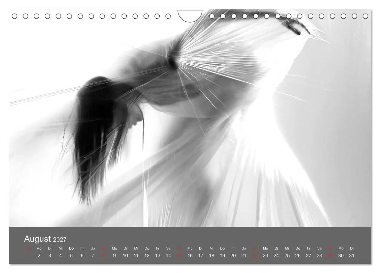 Bild: 9783569926820 | Akt und Visionen (Wandkalender 2027 DIN A4 quer), CALVENDO...