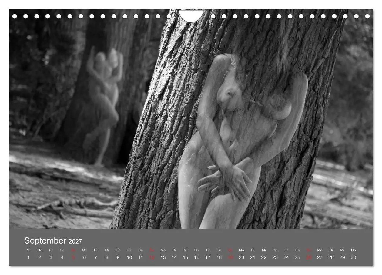 Bild: 9783569926820 | Akt und Visionen (Wandkalender 2027 DIN A4 quer), CALVENDO...