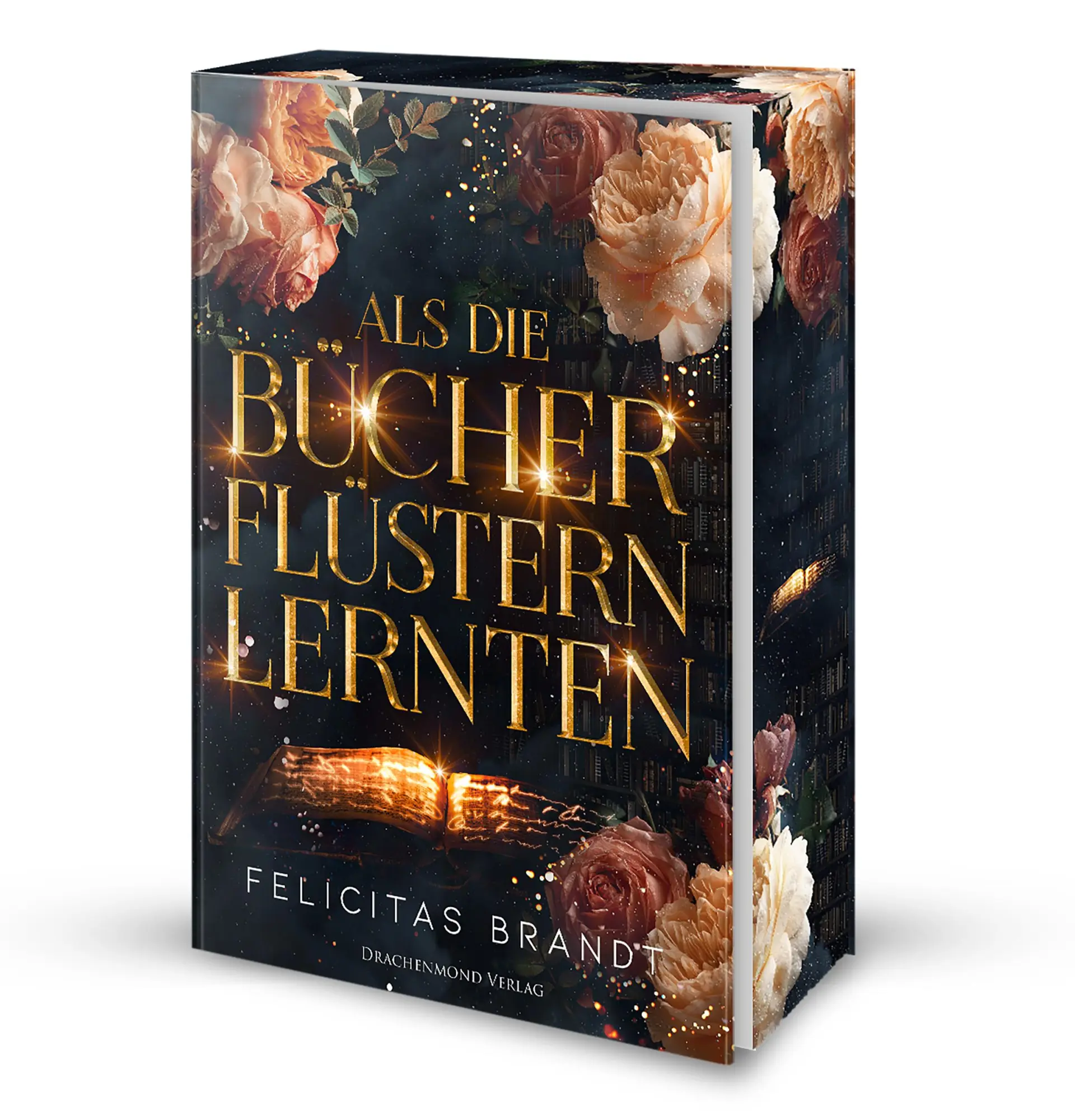 Cover: 9783959916820 | Als die Bücher flüstern lernten | Felicitas Brandt | Taschenbuch