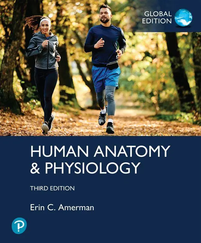 Cover: 9781292746920 | Human Anatomy &amp; Physiology, Global Edition | Erin Amerman (u. a.)