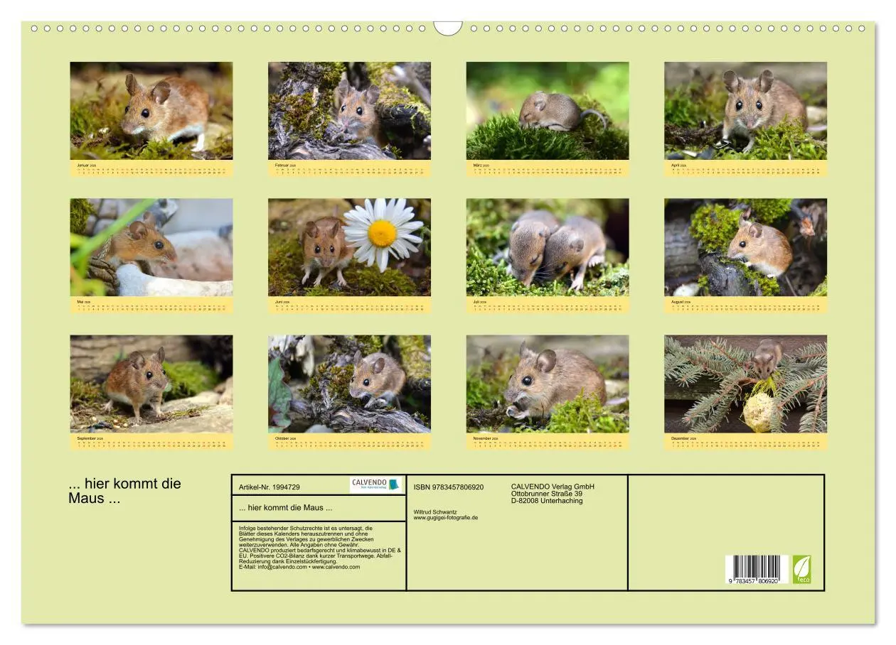 Bild: 9783457806920 | ... hier kommt die Maus ... (Wandkalender 2026 DIN A2 quer),...
