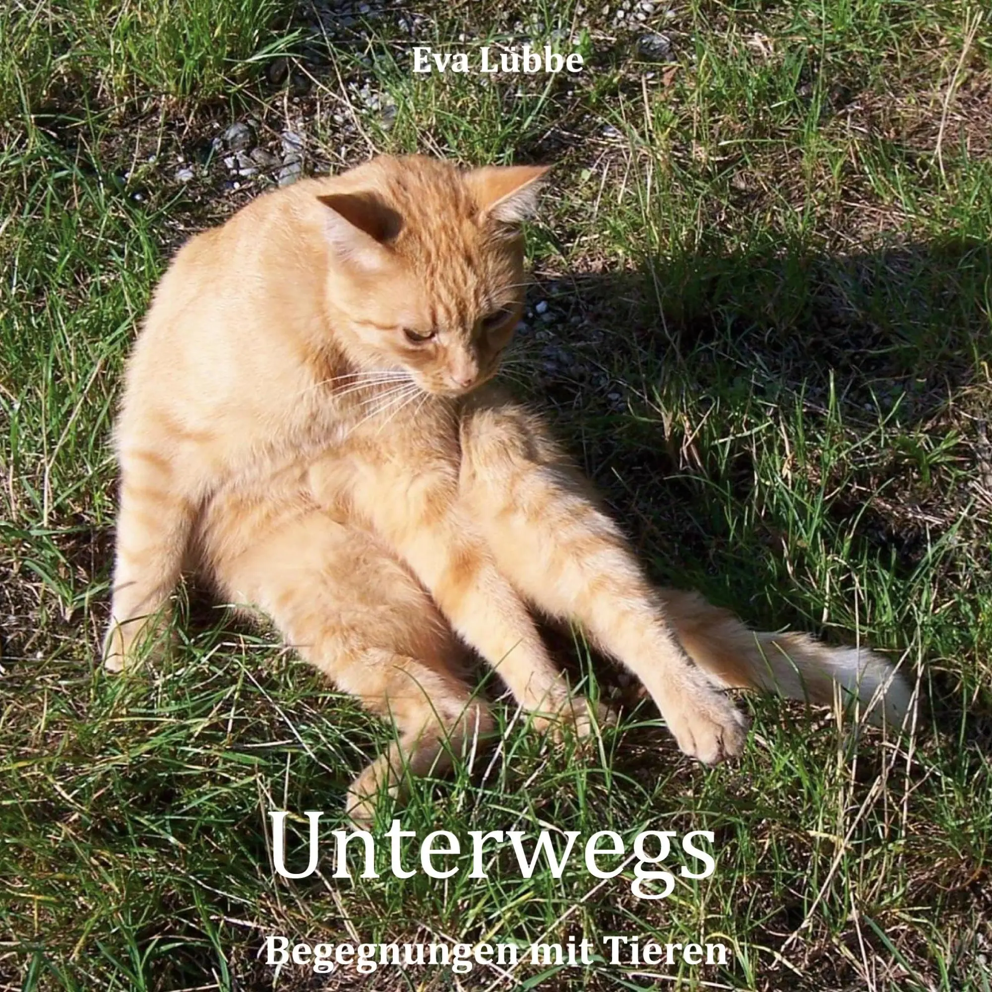 Cover: 9783769376920 | Unterwegs | Begegnungen mit Tieren | Eva Lübbe | Buch | Deutsch | 2025