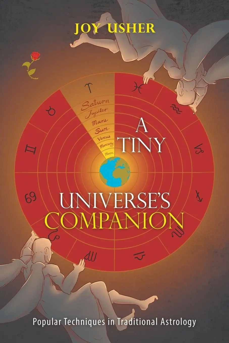Cover: 9781543407020 | A Tiny Universe'S Companion | Joy Usher | Taschenbuch | Englisch