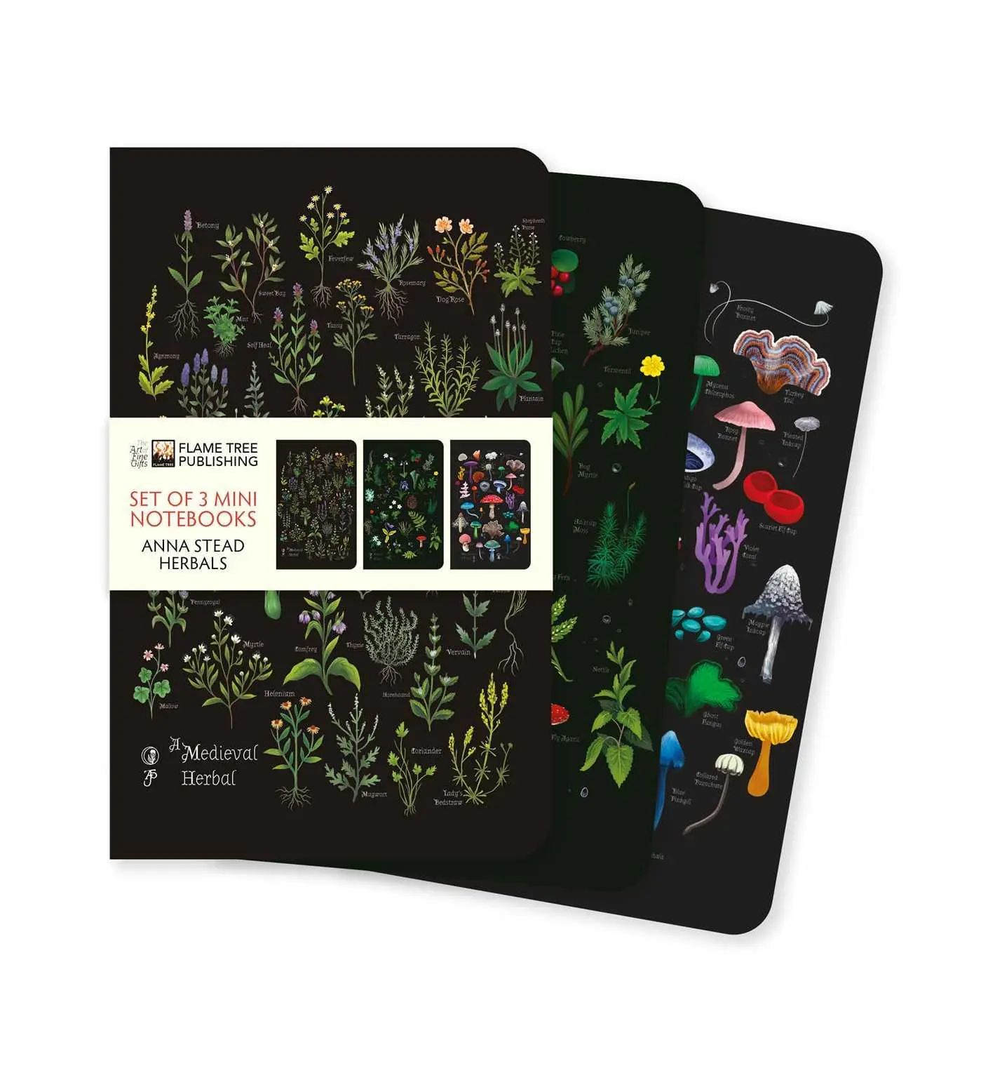 Cover: 9781835627020 | Anna Stead: Herbals Set of 3 Mini Notebooks | Flame Tree Publishing