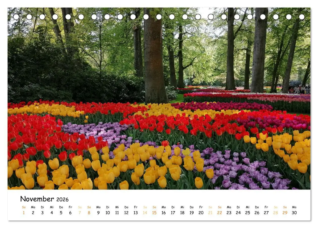 Bild: 9783457547120 | Auf Tour im Land der Tulpen (Tischkalender 2026 DIN A5 quer),...