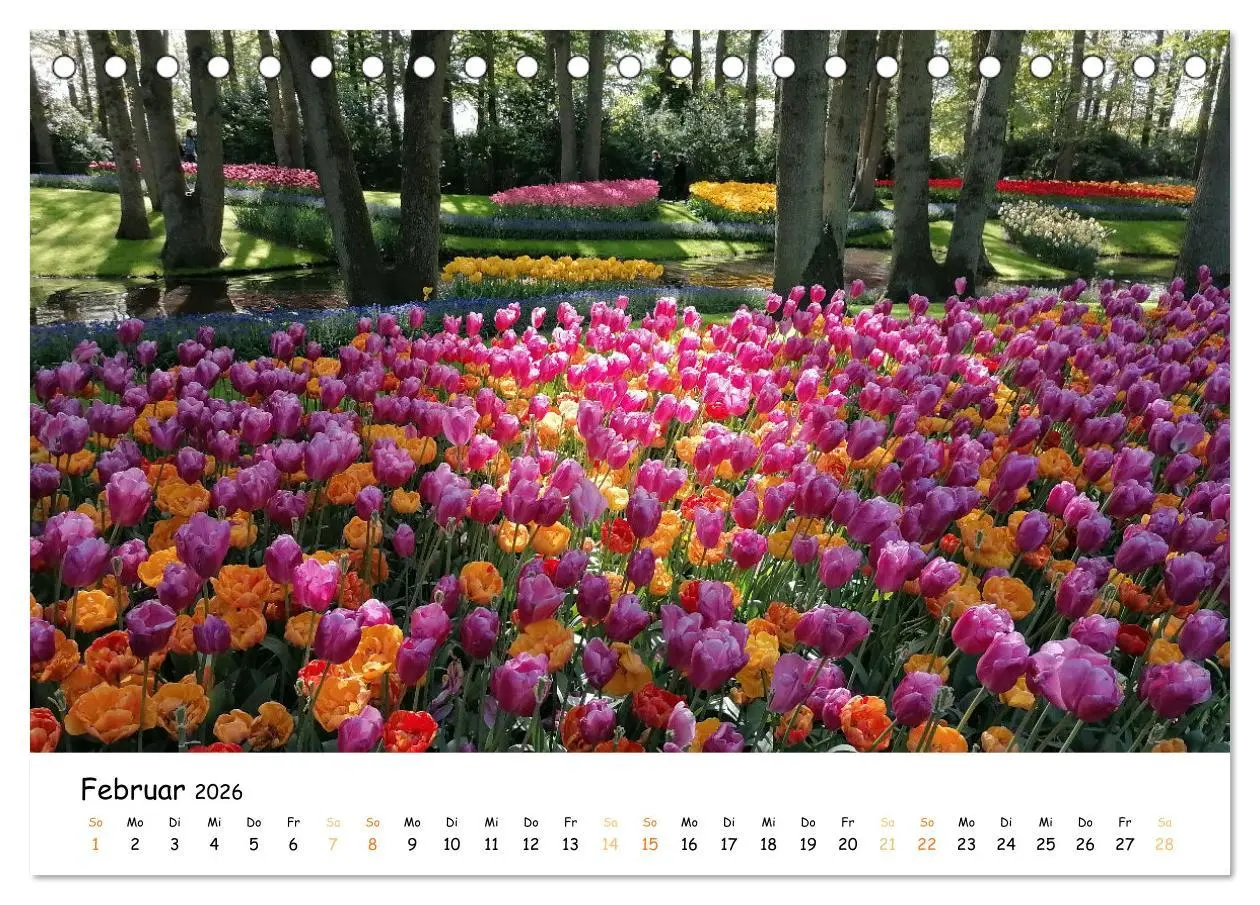 Bild: 9783457547120 | Auf Tour im Land der Tulpen (Tischkalender 2026 DIN A5 quer),...