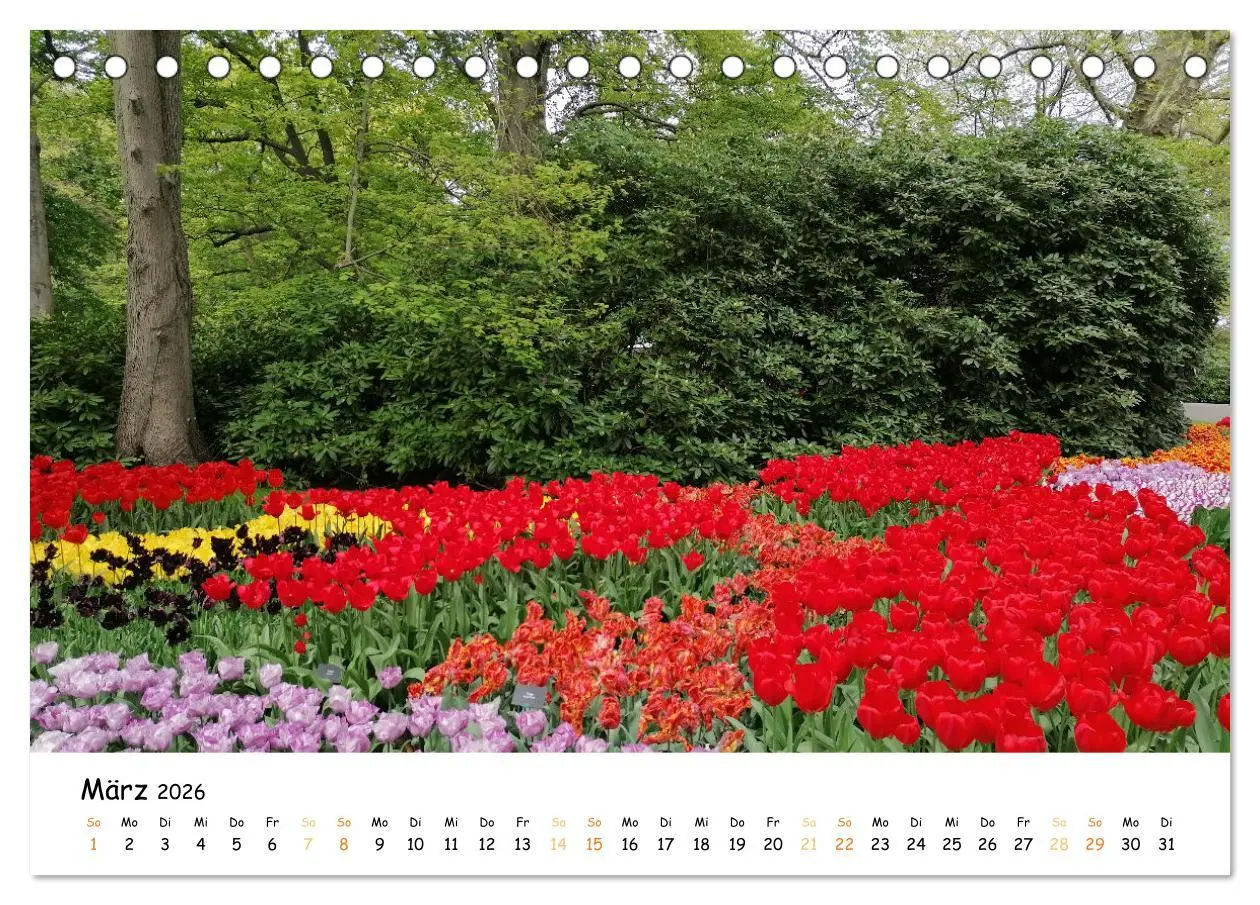 Bild: 9783457547120 | Auf Tour im Land der Tulpen (Tischkalender 2026 DIN A5 quer),...