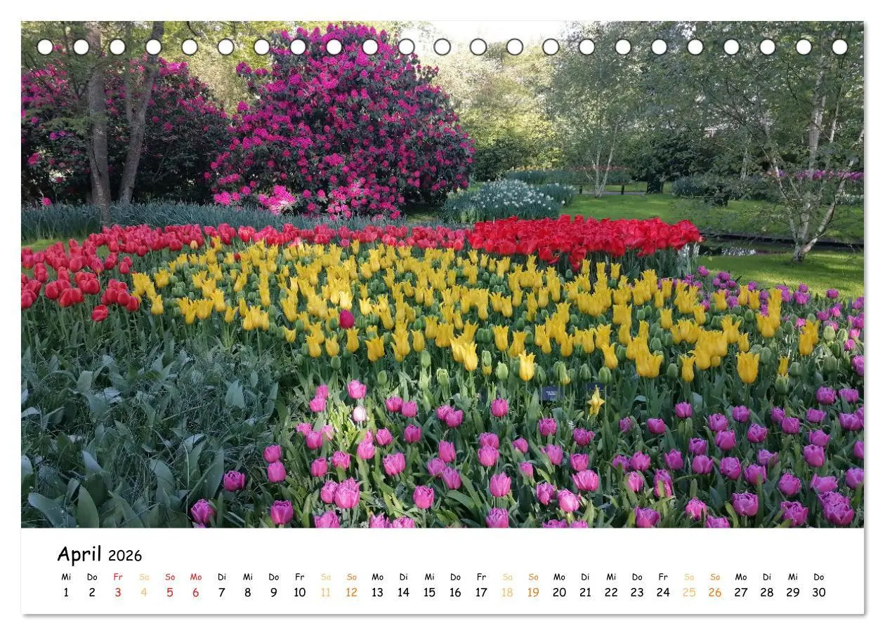 Bild: 9783457547120 | Auf Tour im Land der Tulpen (Tischkalender 2026 DIN A5 quer),...