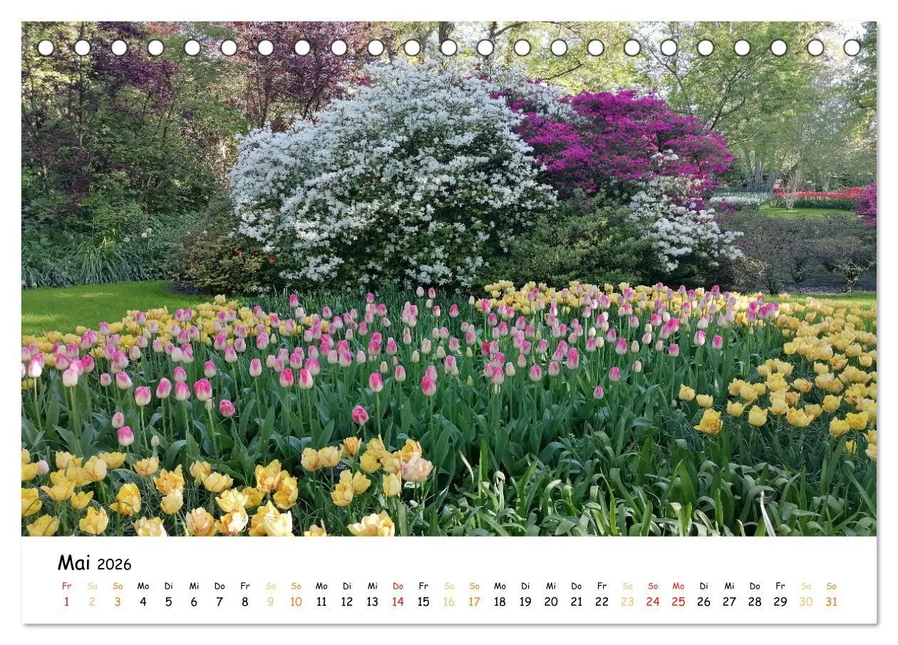 Bild: 9783457547120 | Auf Tour im Land der Tulpen (Tischkalender 2026 DIN A5 quer),...