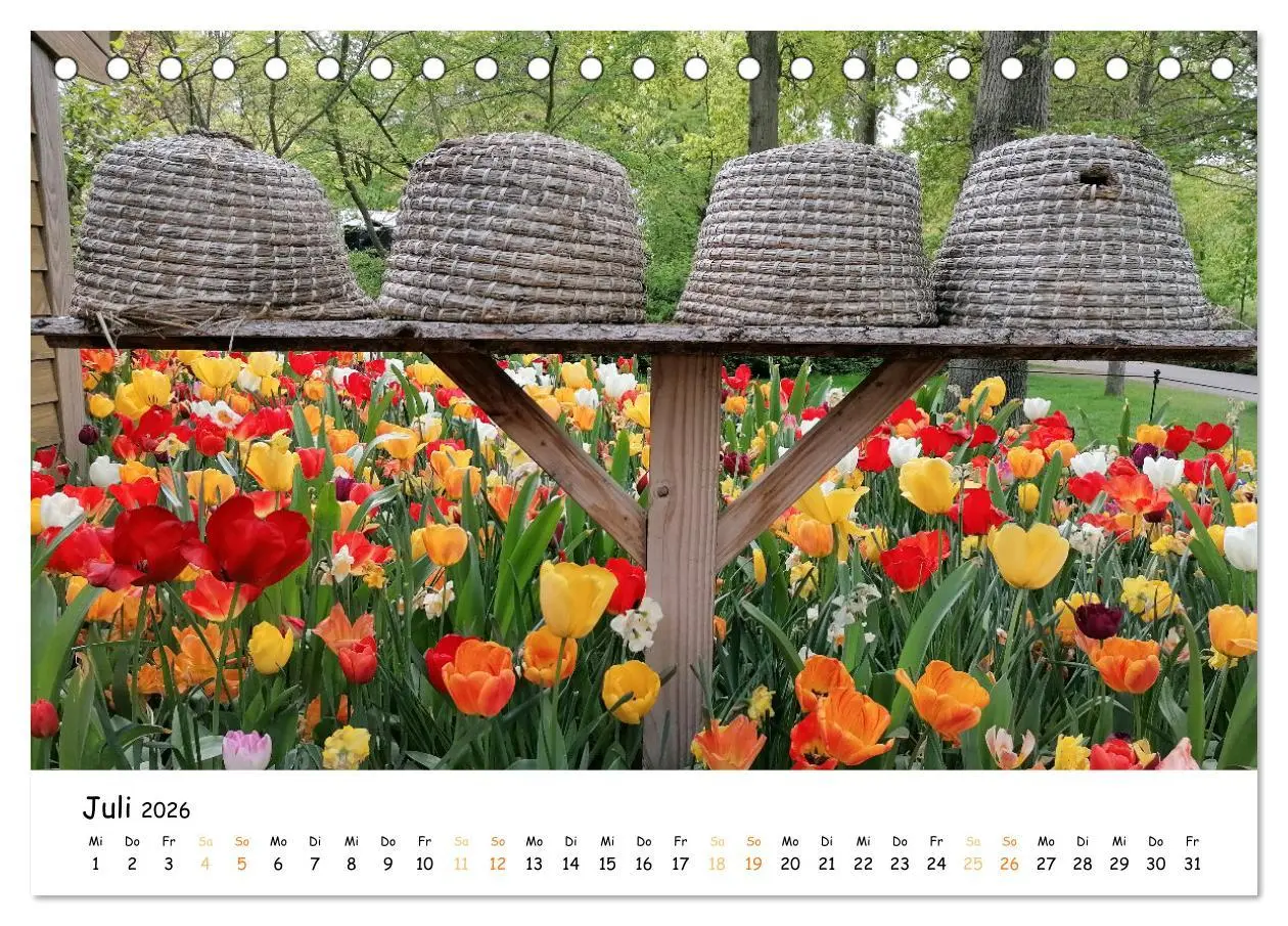 Bild: 9783457547120 | Auf Tour im Land der Tulpen (Tischkalender 2026 DIN A5 quer),...