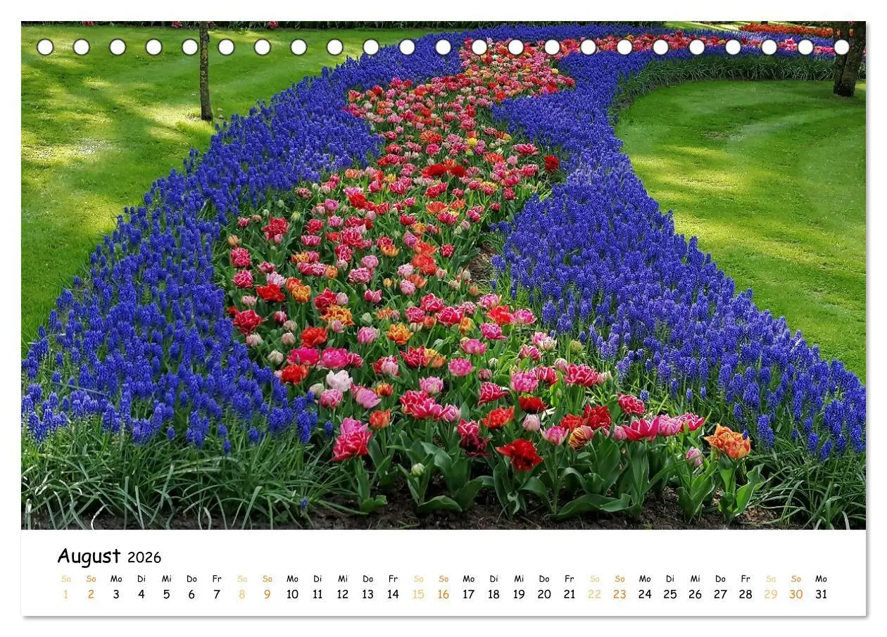 Bild: 9783457547120 | Auf Tour im Land der Tulpen (Tischkalender 2026 DIN A5 quer),...