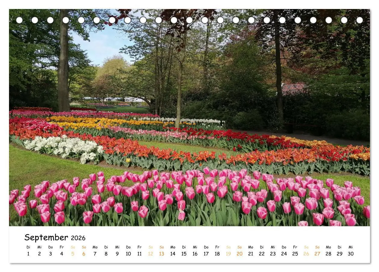 Bild: 9783457547120 | Auf Tour im Land der Tulpen (Tischkalender 2026 DIN A5 quer),...