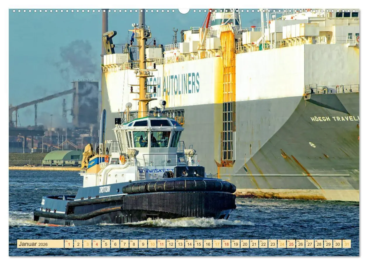 Bild: 9783457927120 | Schlepper - bärenstarke Arbeitstiere (hochwertiger Premium...