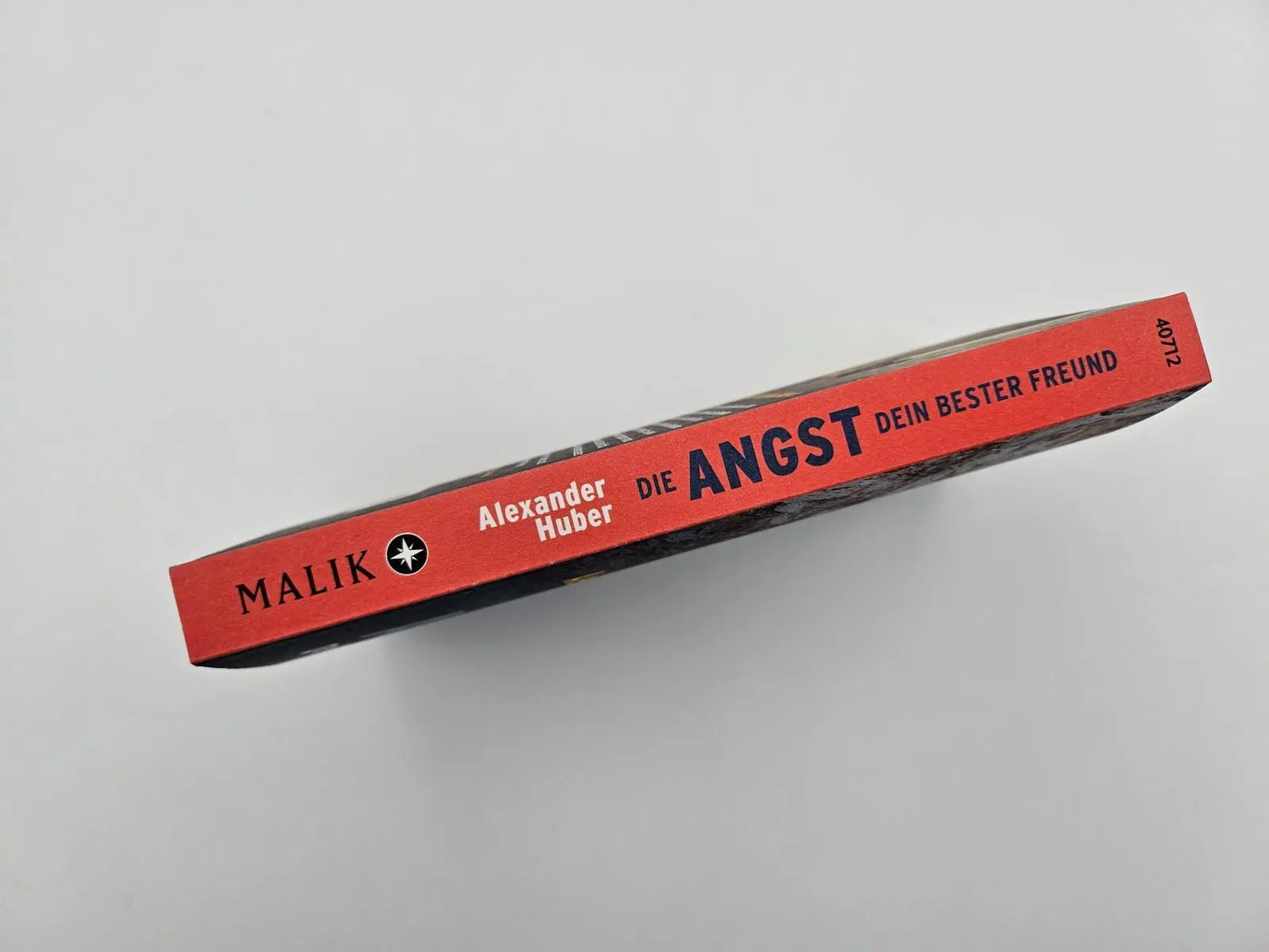 Bild: 9783492407120 | Die Angst, dein bester Freund | Alexander Huber | Taschenbuch | 224 S.