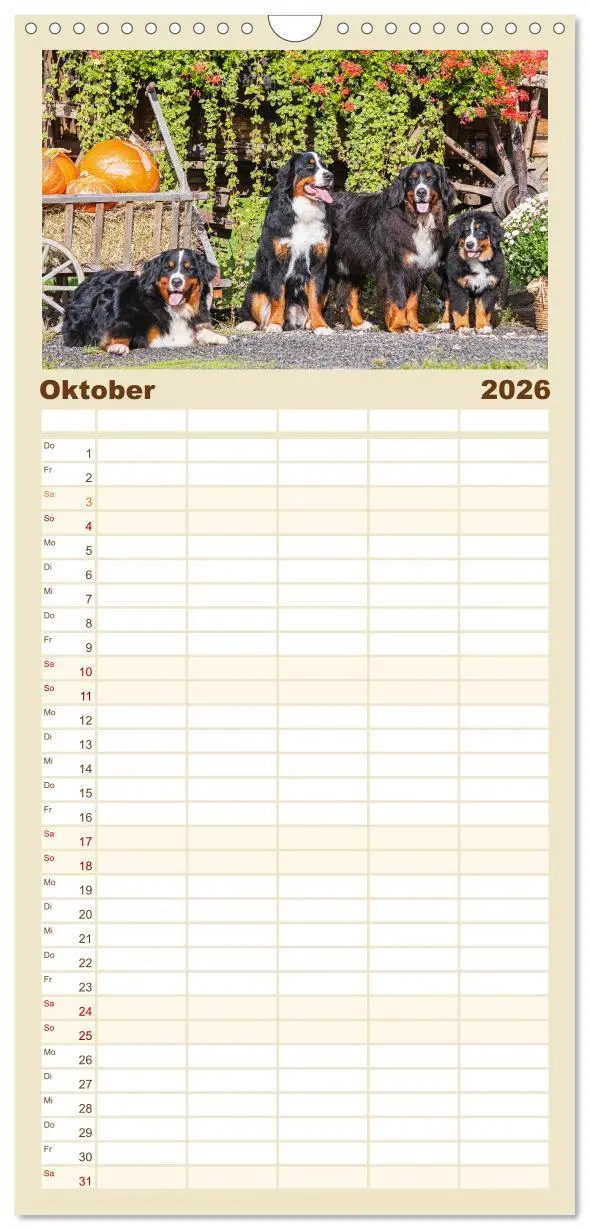 Bild: 9783516497120 | Familienplaner 2026 - Berner Sennenhund - Ein Freund auf vier...