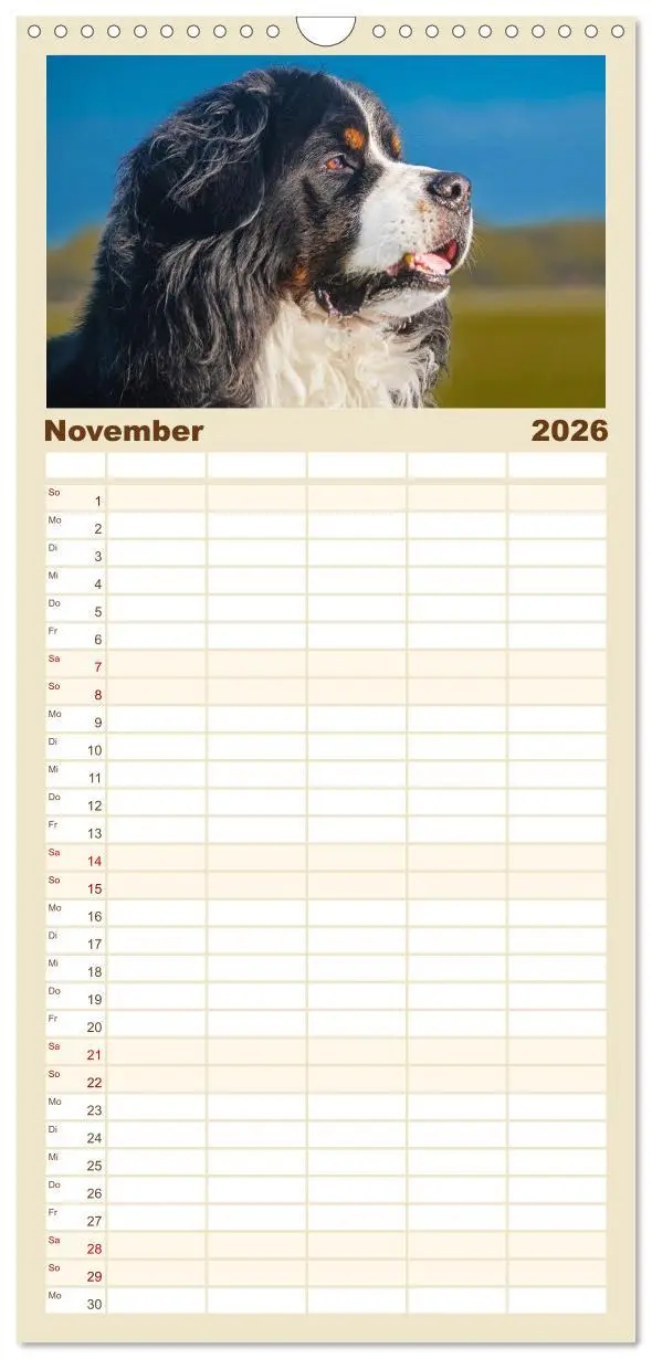 Bild: 9783516497120 | Familienplaner 2026 - Berner Sennenhund - Ein Freund auf vier...