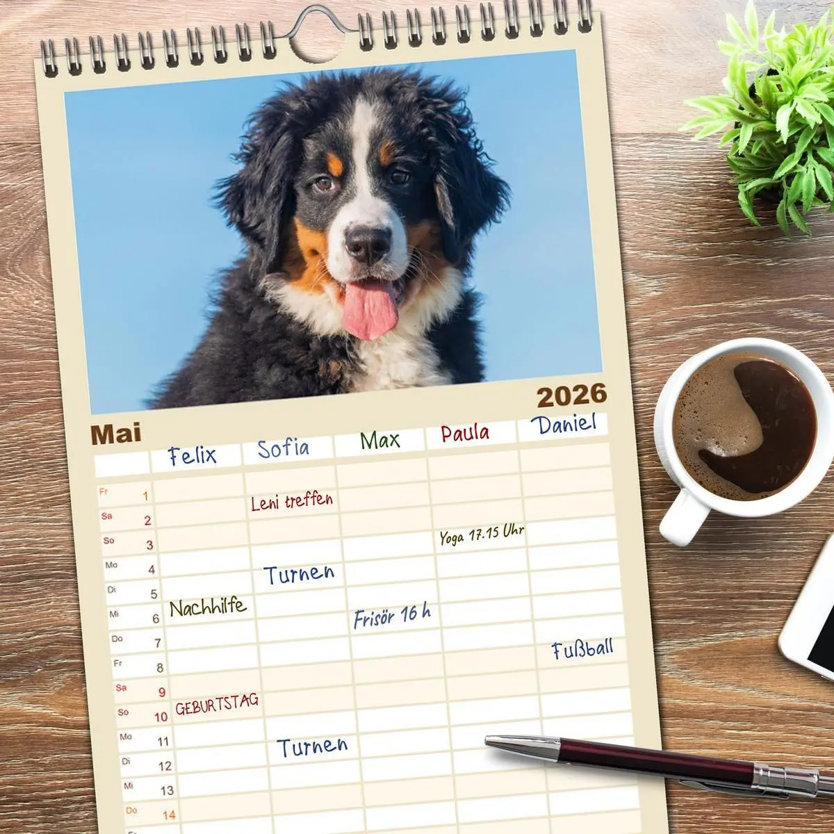 Bild: 9783516497120 | Familienplaner 2026 - Berner Sennenhund - Ein Freund auf vier...