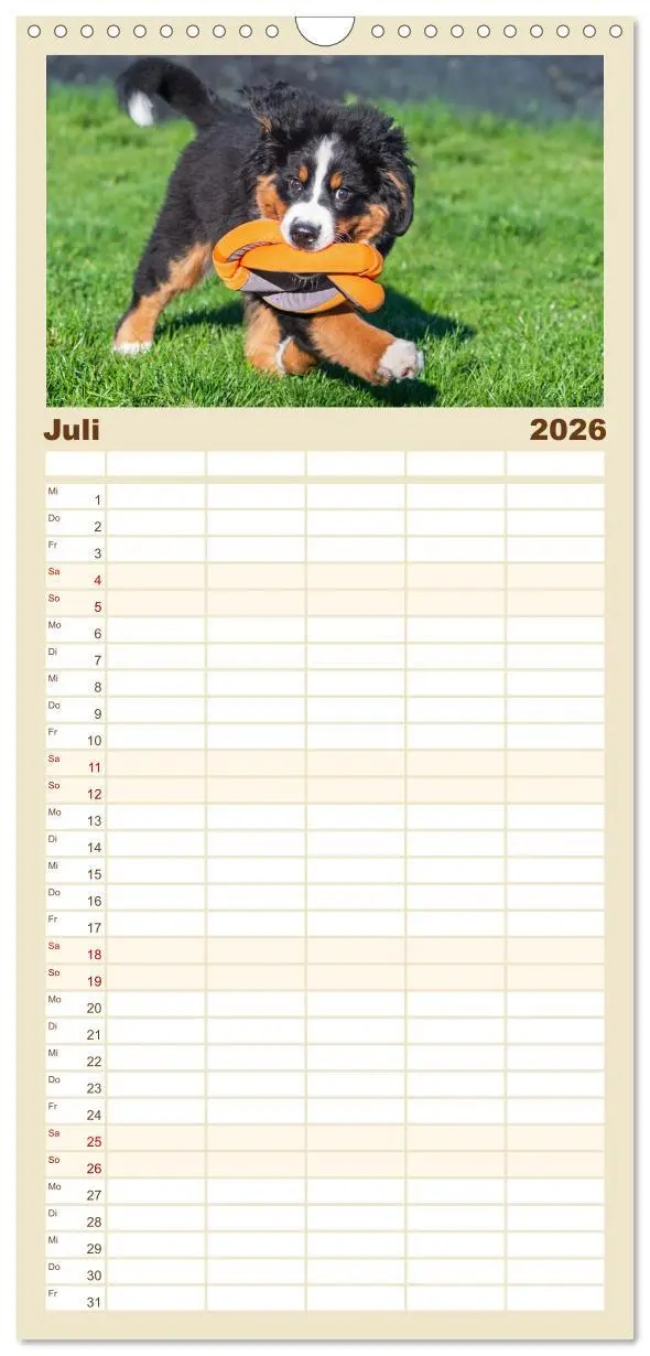 Bild: 9783516497120 | Familienplaner 2026 - Berner Sennenhund - Ein Freund auf vier...