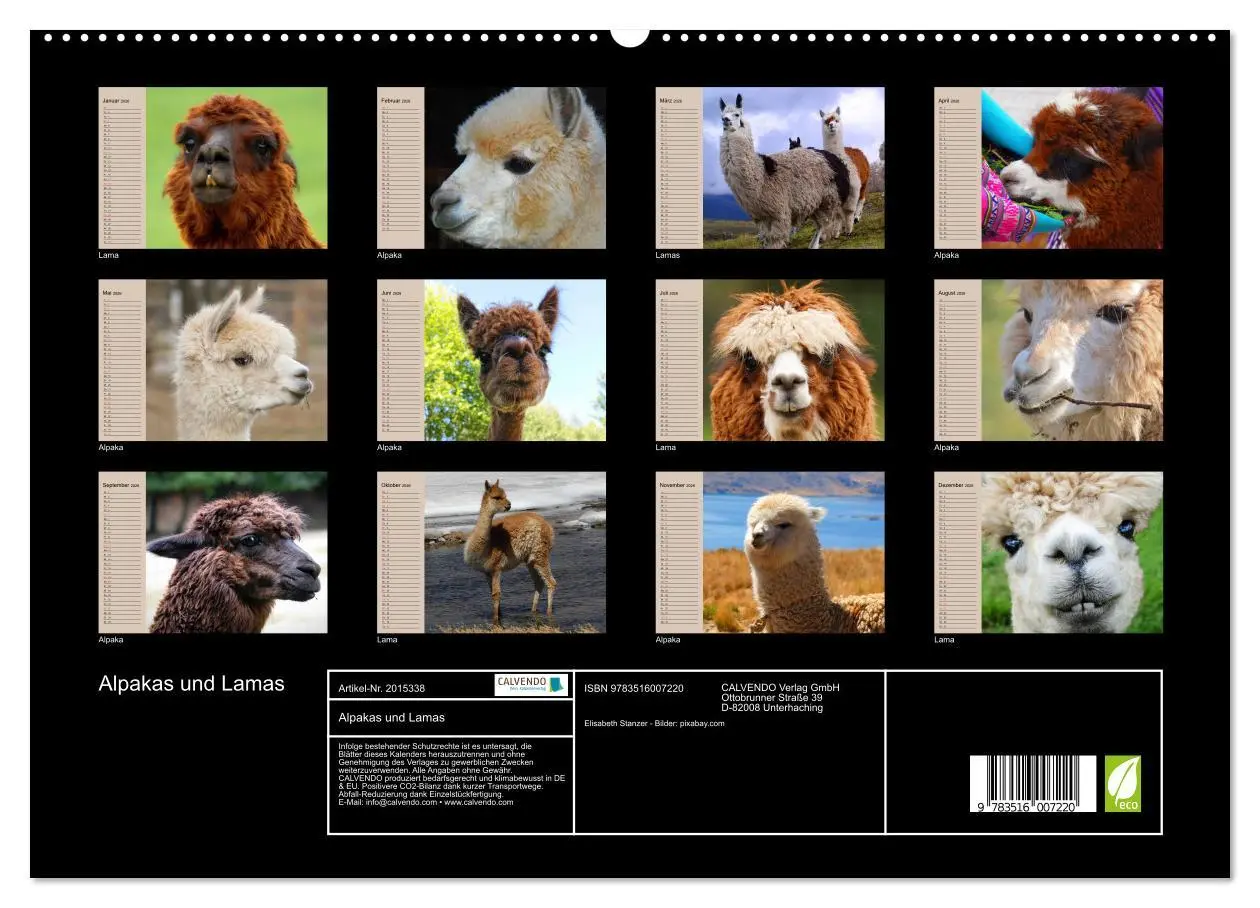 Bild: 9783516007220 | Alpakas und Lamas (hochwertiger Premium Wandkalender 2026 DIN A2...