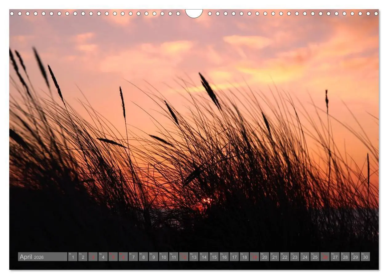 Bild: 9783516177220 | Ostseebad Warnemünde (Wandkalender 2026 DIN A3 quer), CALVENDO...